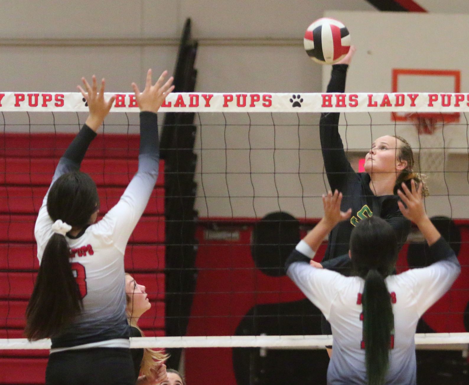 Golden Bears open season with victory over Bullpups
